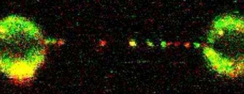 FANCI that! Decades long mystery of how DNA damage by sunlight, alcohol and pollution is identified so it can be repaired, is solved. Opens up opportunities for improved cancer treatments.