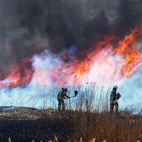 Wildfire smoke exposure linked with higher dementia risk