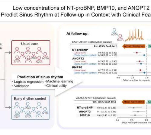 Biomarkers may predict future sinus rhythm in patients with atrial fibrillation