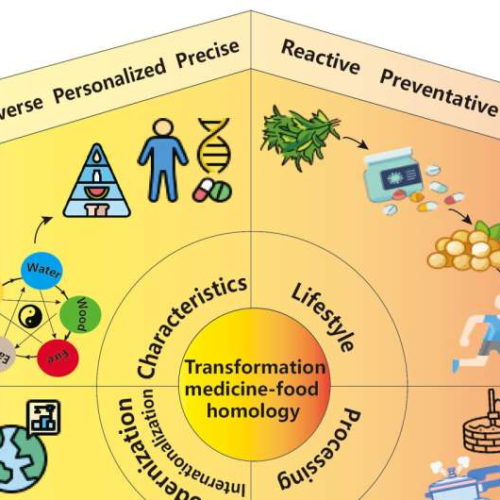 Blending medicine with cuisine: A new chapter in health