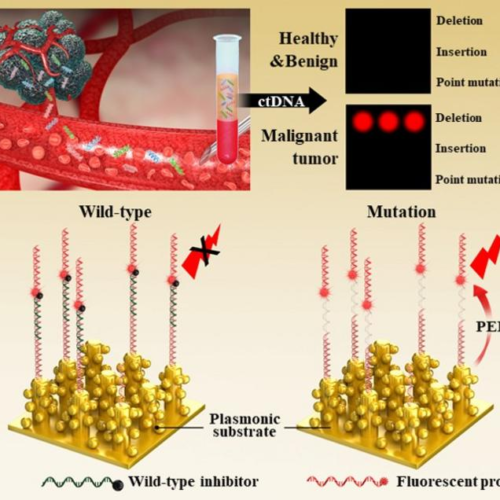 Detects cancer genes with ultra-high sensitivity!