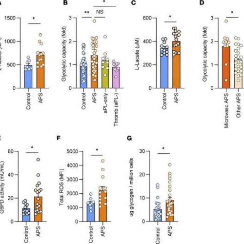 Could targeting metabolism treat blood clots in antiphospholipid syndrome?