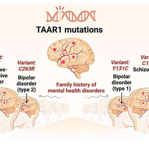 TAAR1 gene mutations may be a missing link in understanding neuropsychiatric disorders, researchers suggest