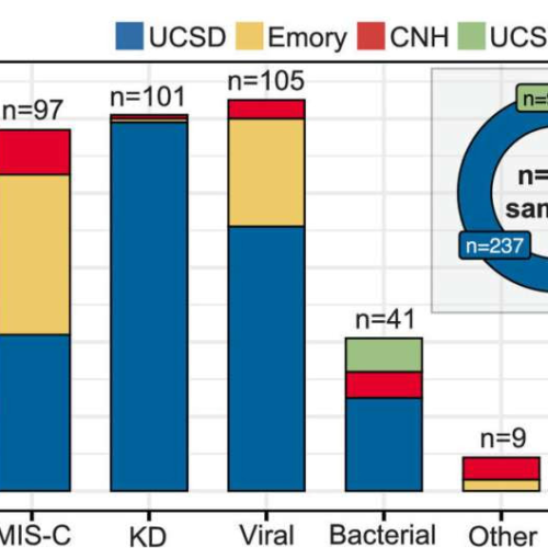 Diagnostic tool identifies puzzling inflammatory diseases in kids