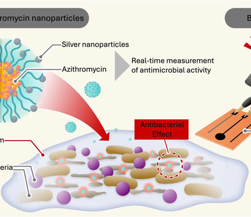 Silver nanoparticles and a new sensing method can fight back against antibiotic-resistant biofilms