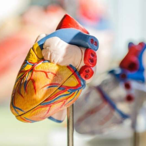 Experts develop global consensus document on atrial cardiomyopathy