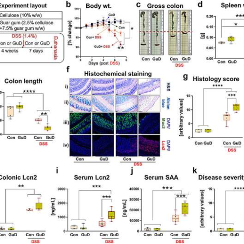 Refined dietary fiber may increase risk for inflammatory bowel disease