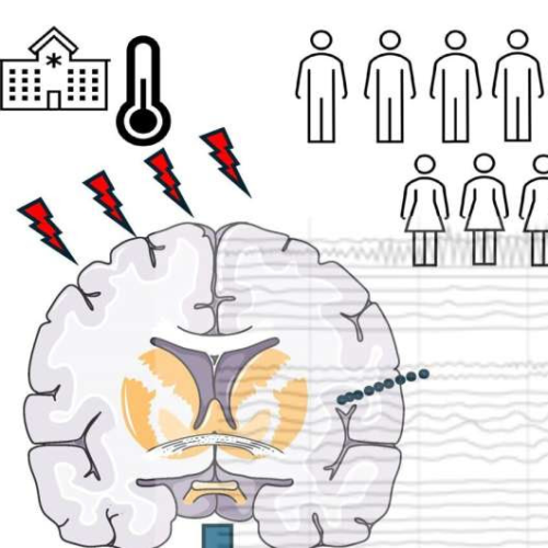 Heat waves may increase the likelihood of seizures in people with epilepsy