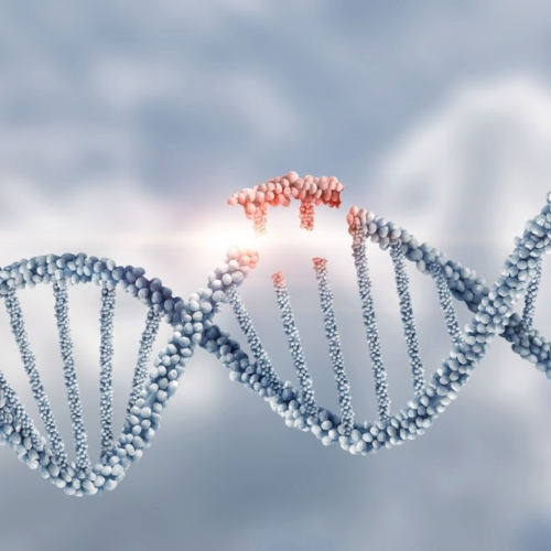 How Do Genetic Mutations Cause Disease?