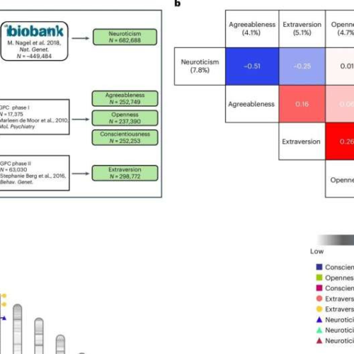 How genes shape personality traits: New links discovered