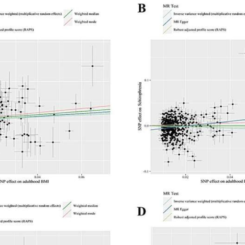 High BMI during childhood linked to increased risk of schizophrenia in adulthood