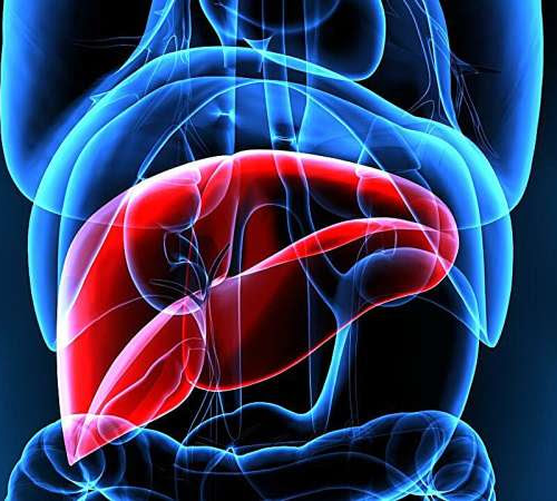 Ozempic could curb progression of diabetes-linked liver disease