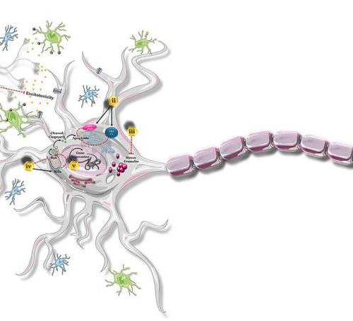 Super-activation of vitamin A signaling system protects against motor neuron disease, other conditions