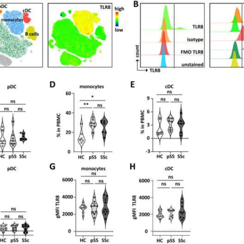 Systemic sclerosis research finds protein TLR8 influences the production of disease-related cytokines