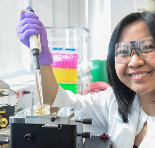 Nanoparticles show promise in defeating antibiotic-resistant bacteria, U of T researchers find