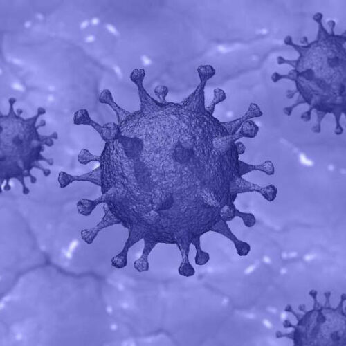 Monoclonal antibodies remain effective against latest SARS-CoV-2 variants